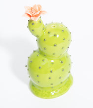 Load image into Gallery viewer, Green Cacti Salt &amp; Pepper Shaker Set
