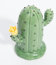 Load image into Gallery viewer, Green Cacti Salt &amp; Pepper Shaker Set
